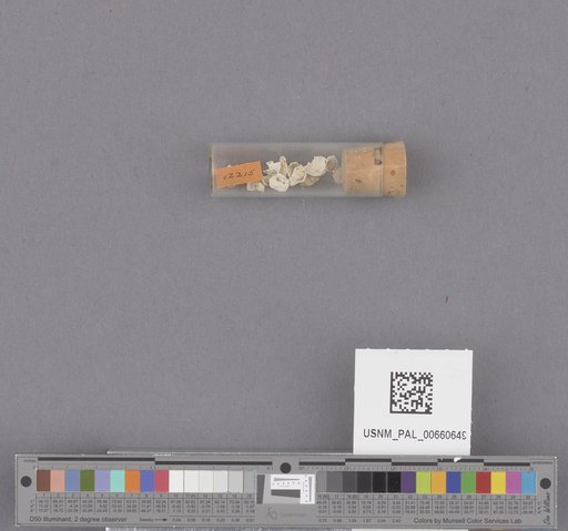 NSF ADBC EPICC TCN