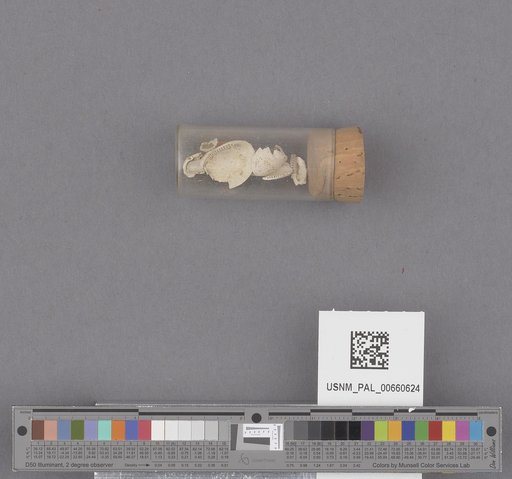 NSF ADBC EPICC TCN