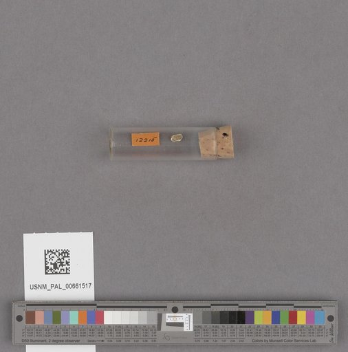 NSF ADBC EPICC TCN