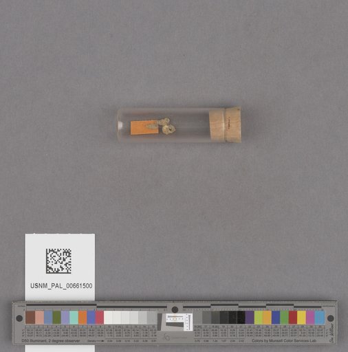 NSF ADBC EPICC TCN