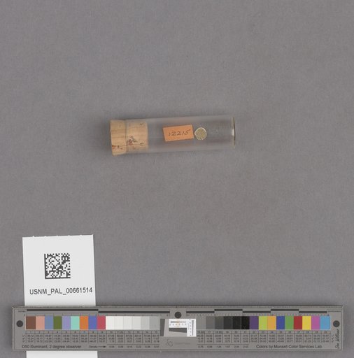 NSF ADBC EPICC TCN