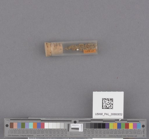 NSF ADBC EPICC TCN