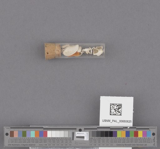 NSF ADBC EPICC TCN