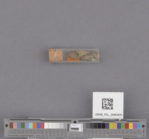 NSF ADBC EPICC TCN