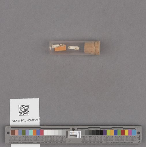 NSF ADBC EPICC TCN