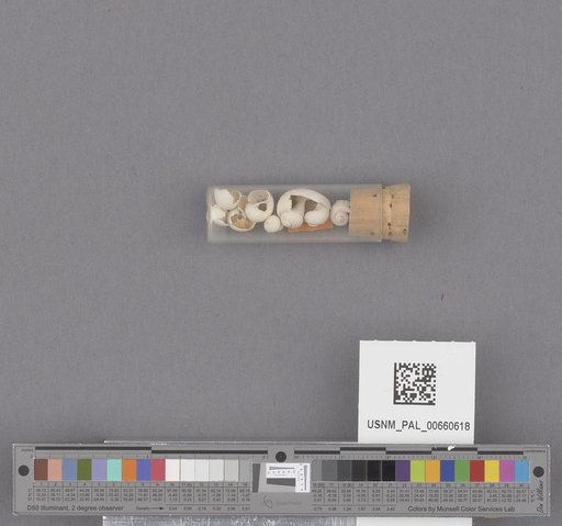 NSF ADBC EPICC TCN
