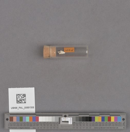 NSF ADBC EPICC TCN