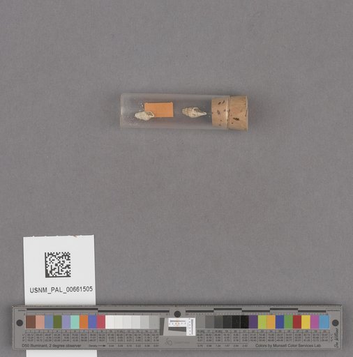 NSF ADBC EPICC TCN