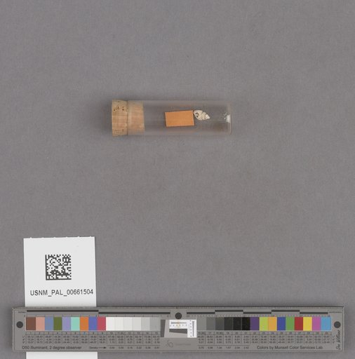 NSF ADBC EPICC TCN