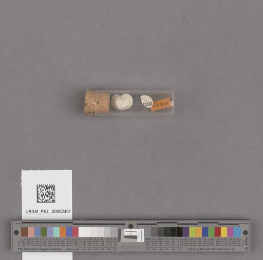 NSF ADBC EPICC TCN