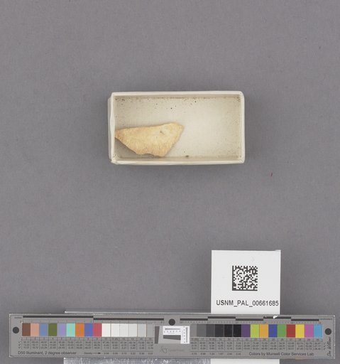 NSF ADBC EPICC TCN