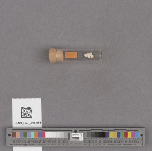 NSF ADBC EPICC TCN