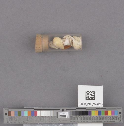 NSF ADBC EPICC TCN