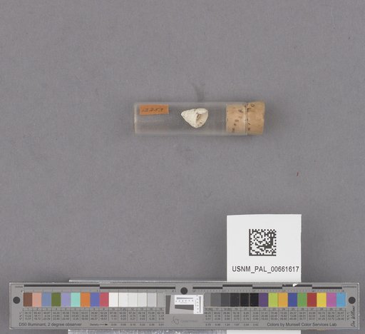 NSF ADBC EPICC TCN