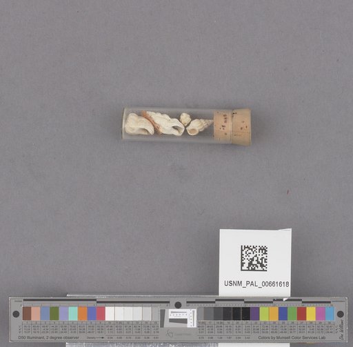 NSF ADBC EPICC TCN
