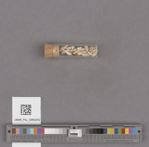 NSF ADBC EPICC TCN
