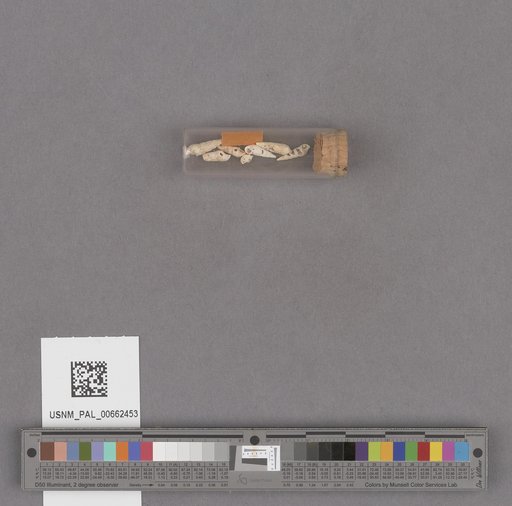 NSF ADBC EPICC TCN