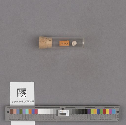 NSF ADBC EPICC TCN