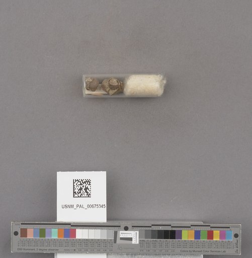 NSF ADBC EPICC TCN