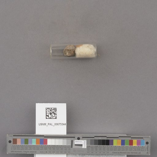 NSF ADBC EPICC TCN