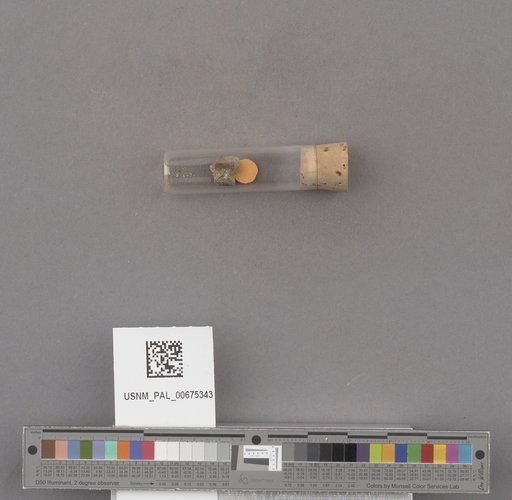 NSF ADBC EPICC TCN