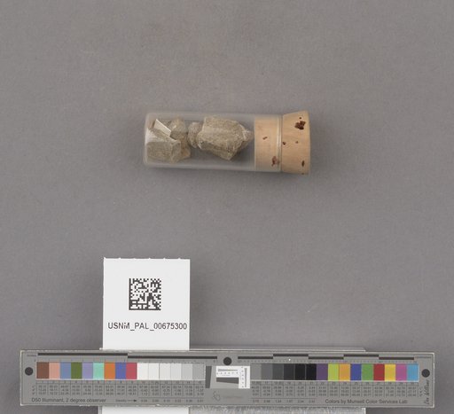 NSF ADBC EPICC TCN