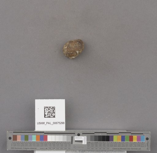NSF ADBC EPICC TCN