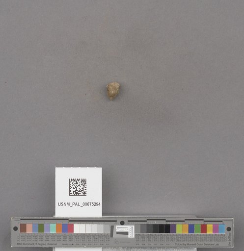 NSF ADBC EPICC TCN