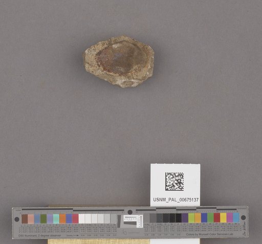NSF ADBC EPICC TCN
