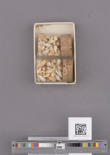 NSF ADBC EPICC TCN