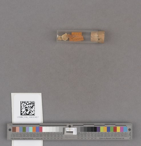 NSF ADBC EPICC TCN