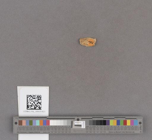 NSF ADBC EPICC TCN