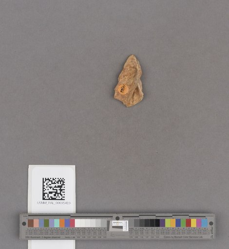 NSF ADBC EPICC TCN