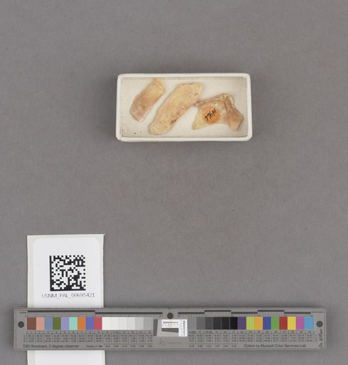 NSF ADBC EPICC TCN