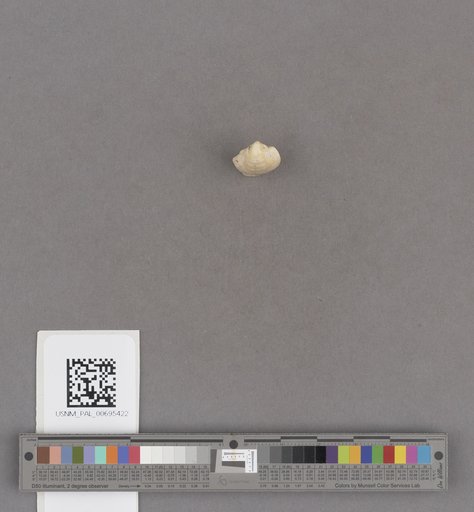 NSF ADBC EPICC TCN
