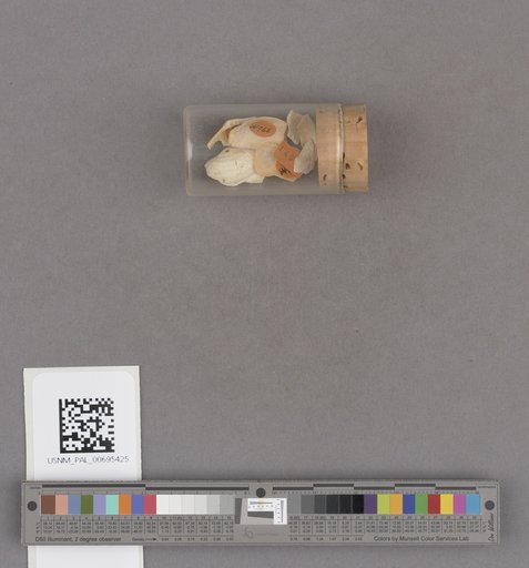 NSF ADBC EPICC TCN