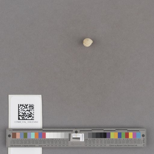 NSF ADBC EPICC TCN