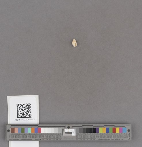 NSF ADBC EPICC TCN