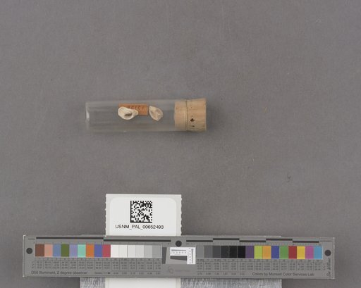 NSF ADBC EPICC TCN