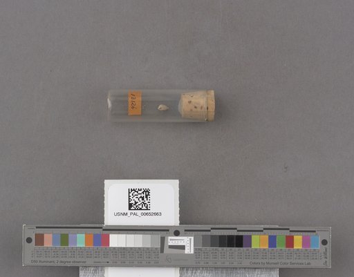 NSF ADBC EPICC TCN