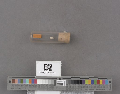 NSF ADBC EPICC TCN