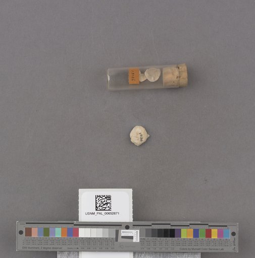 NSF ADBC EPICC TCN