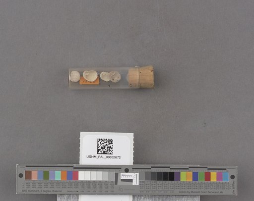 NSF ADBC EPICC TCN