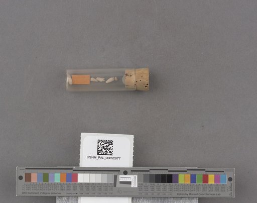 NSF ADBC EPICC TCN