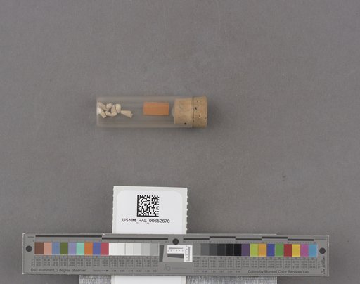 NSF ADBC EPICC TCN