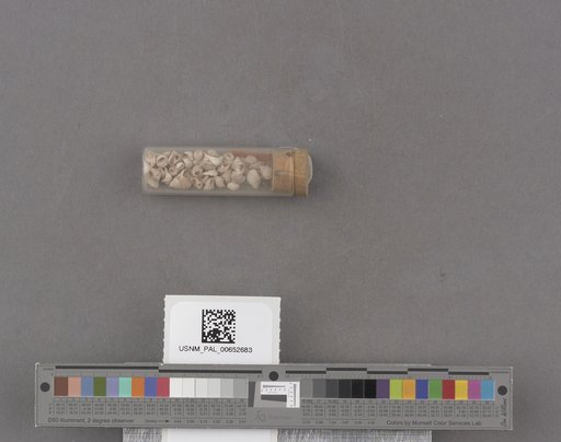 NSF ADBC EPICC TCN