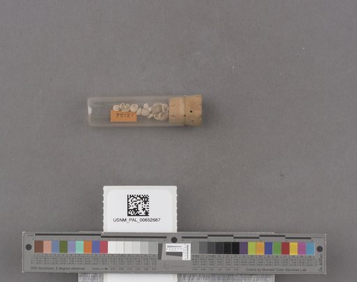 NSF ADBC EPICC TCN