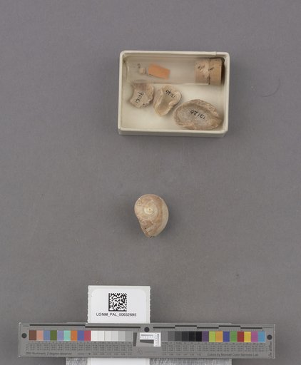 NSF ADBC EPICC TCN