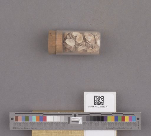 NSF ADBC EPICC TCN