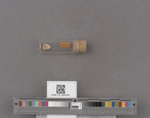 NSF ADBC EPICC TCN